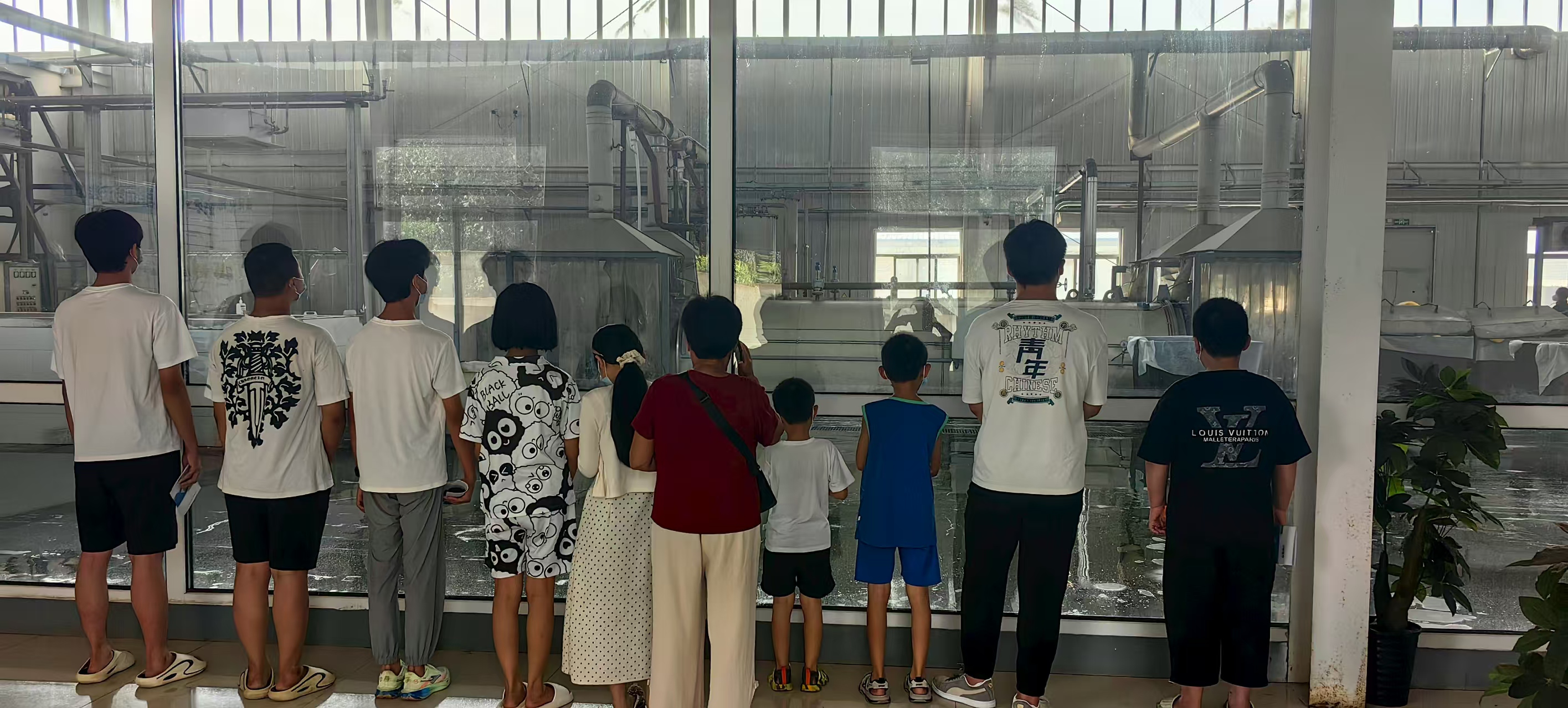 2025年度公众开放活动